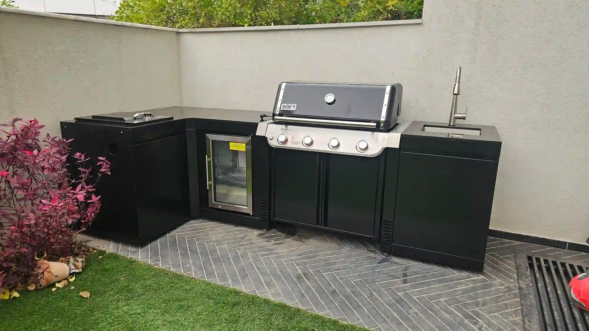 גרילי גז WEBER